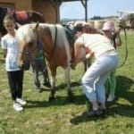 Příměstký tábor „Léto s koňmi“ – III. termín