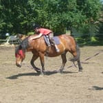 Příměstský tábor „Léto nejen s koňmi“