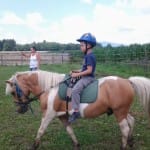 Příměstský tábor „Léto s koňmi“ – I. termín