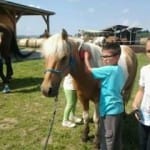 Příměstký tábor „Léto s koňmi“ – III. termín