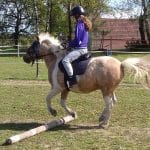 Léto s koňmi – termín: 20. 07. – 24. 07. 2020