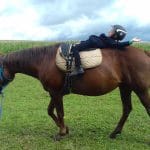 Léto s koňmi – termín: 13. 07. – 17. 07. 2020