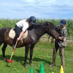 Léto s koňmi – termín: 24. 08. – 28. 08. 2020