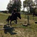 Léto s koňmi – termín: 10. 08. – 14. 08. 2020